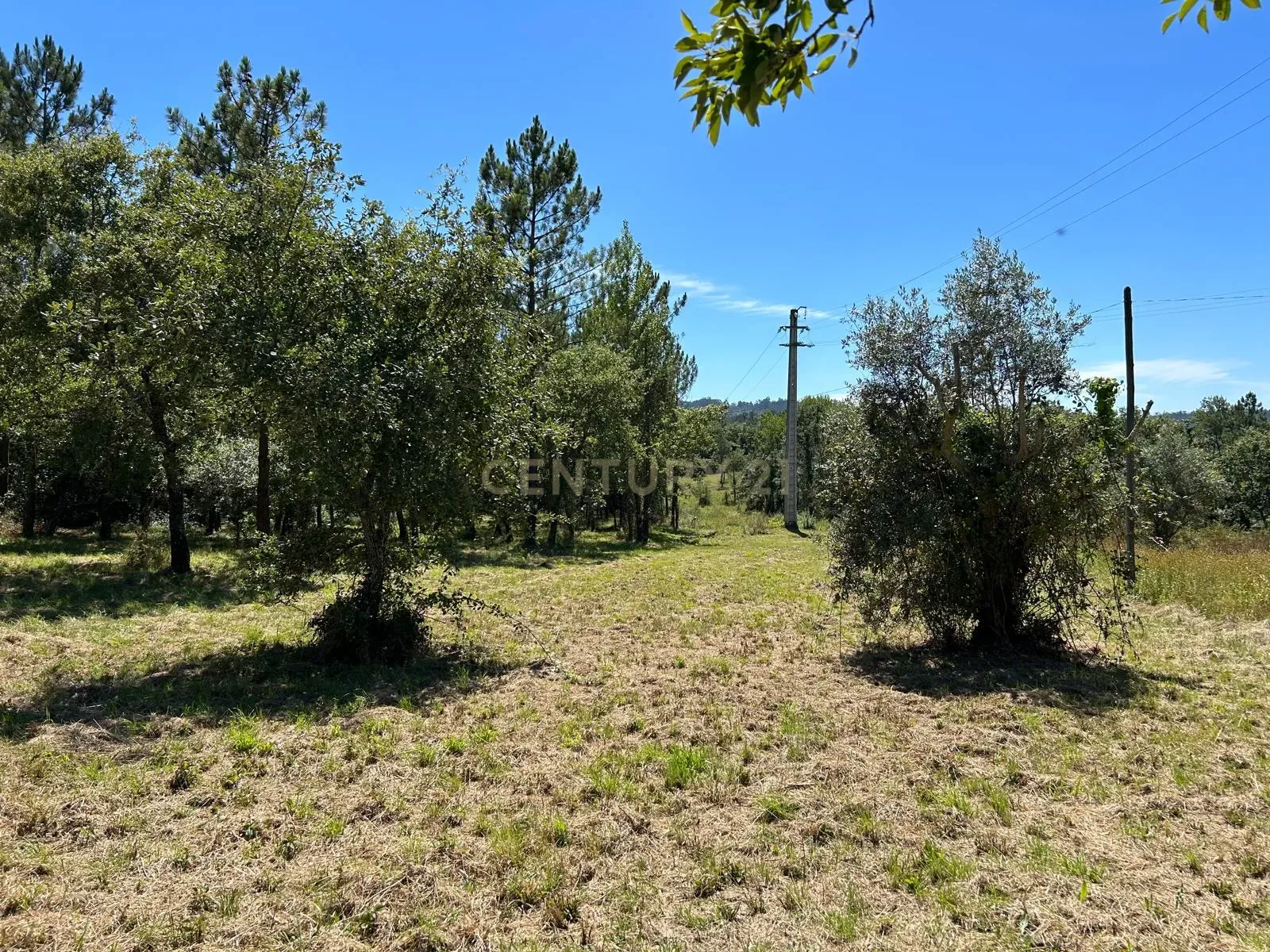 Terreno para construção em Santo Elói - Image 26