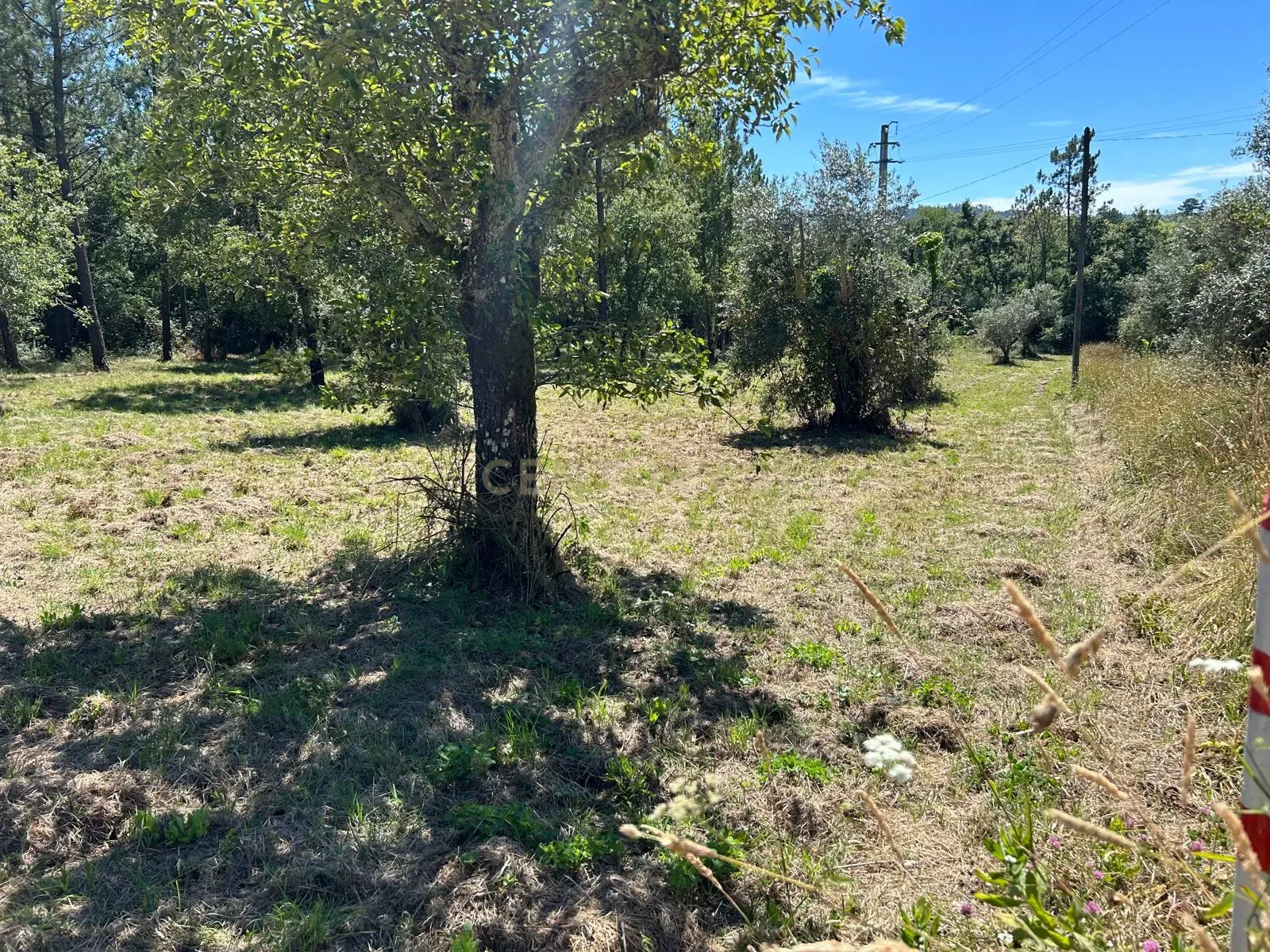 Terreno para construção em Santo Elói - Image 30