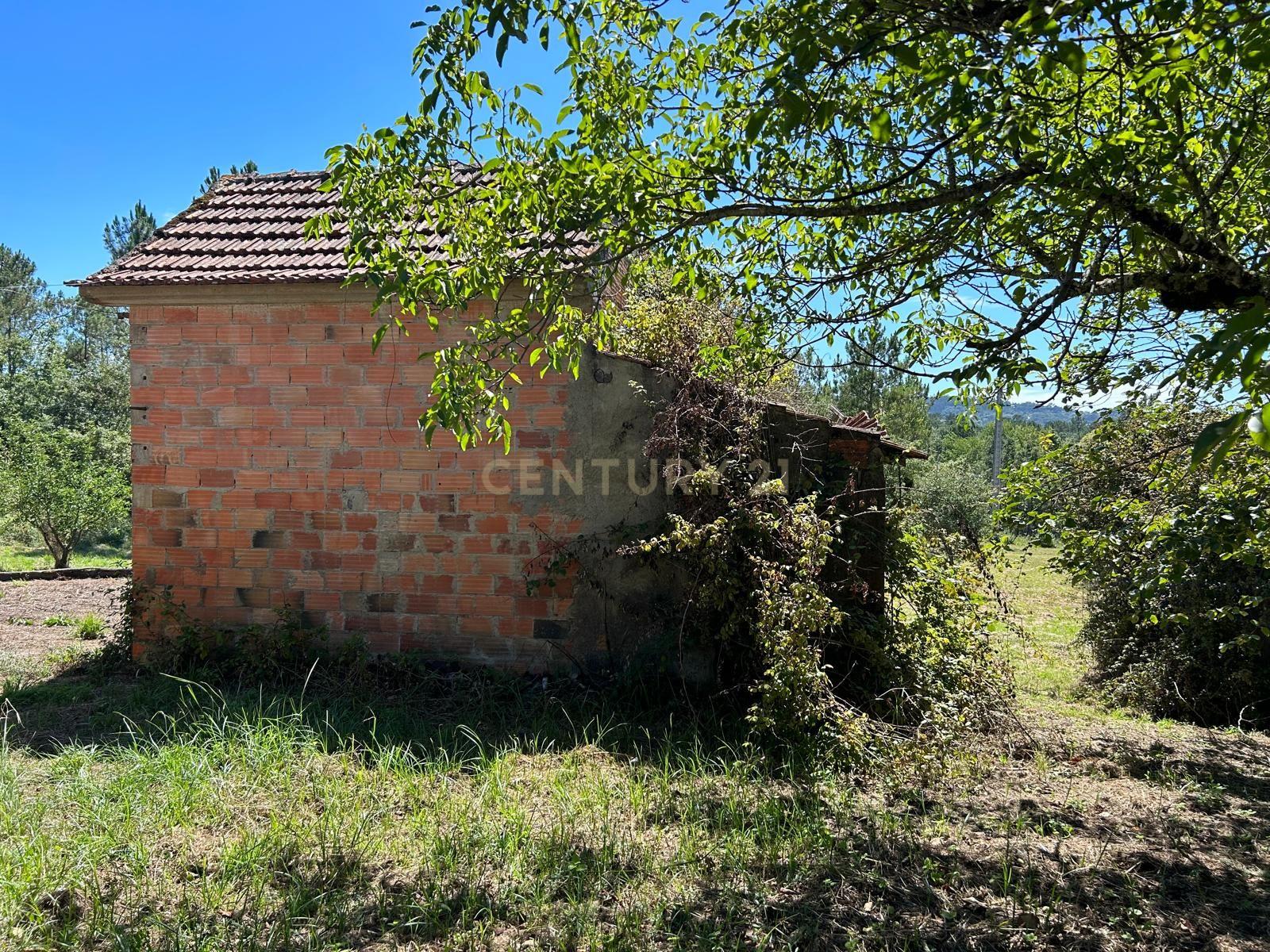 Terreno para construção em Santo Elói - Image 10