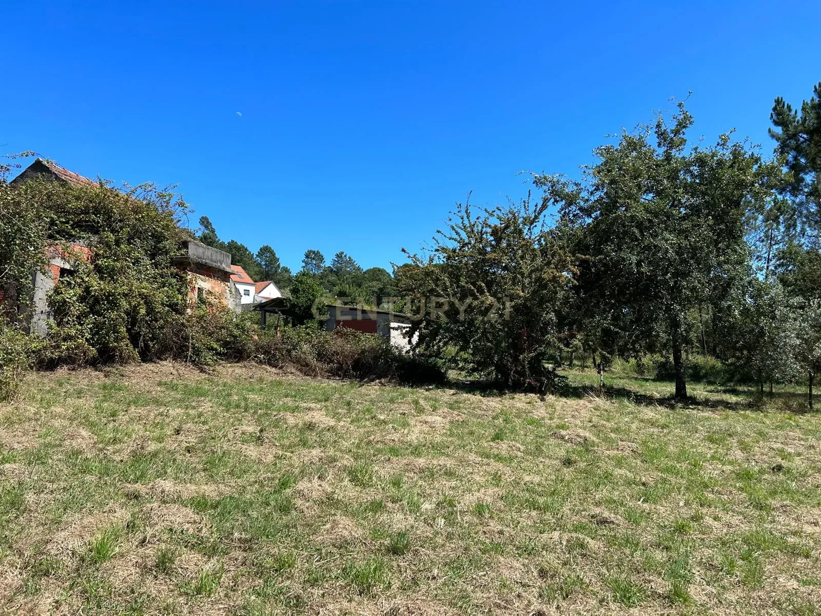 Terreno para construção em Santo Elói - Image 31