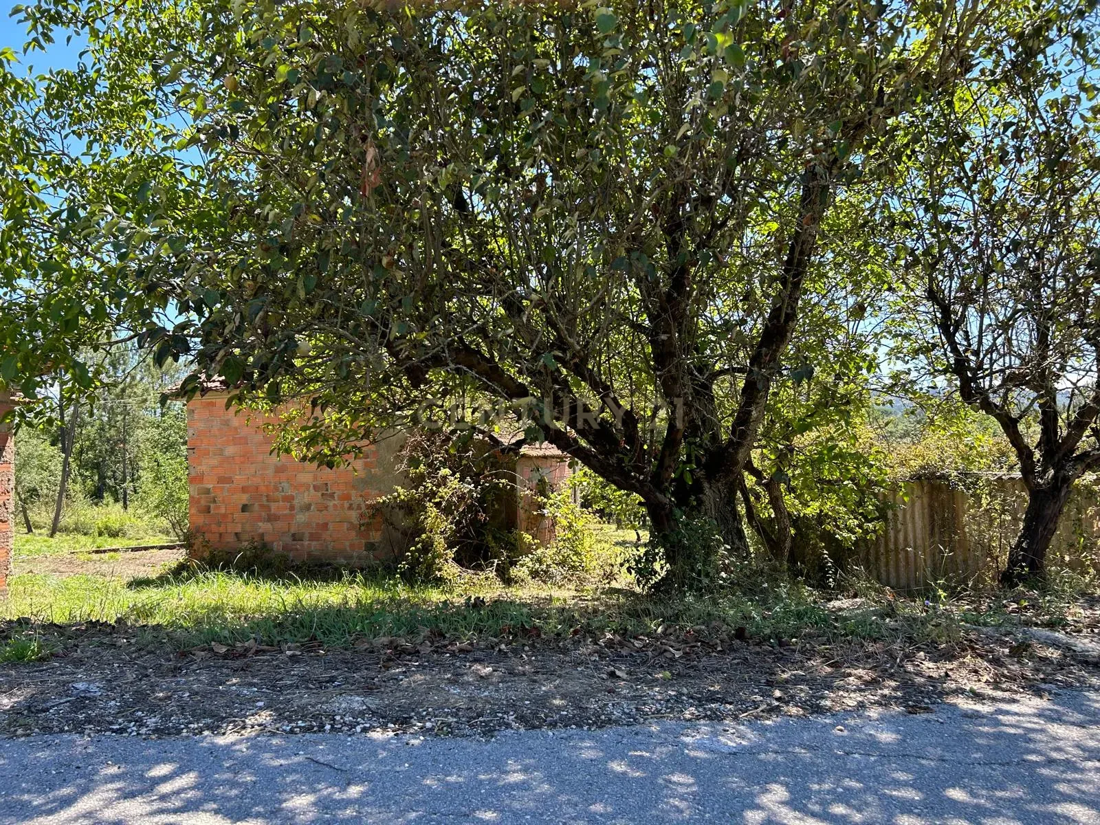 Terreno para construção em Santo Elói - Image 9