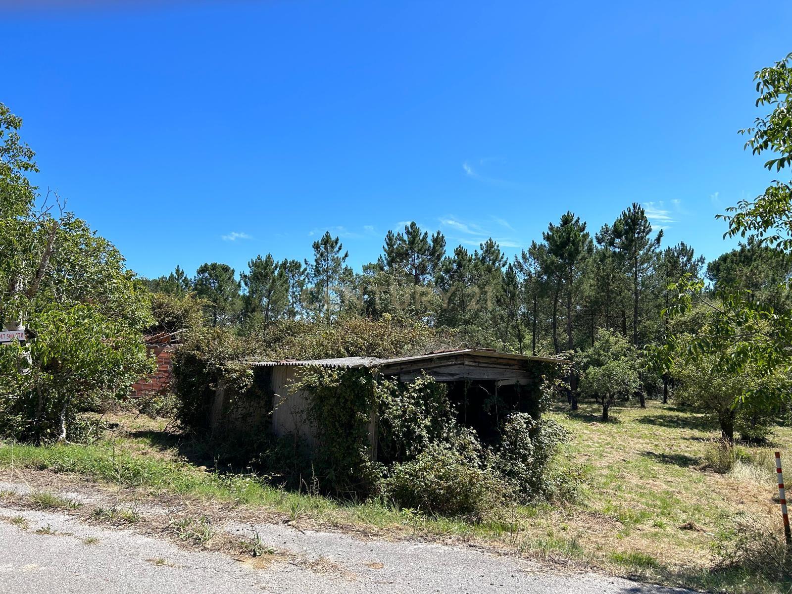 Terreno para construção em Santo Elói - Image 12