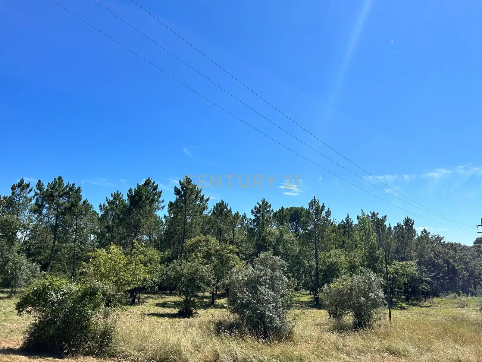 Terreno para construção em Santo Elói - Image 32