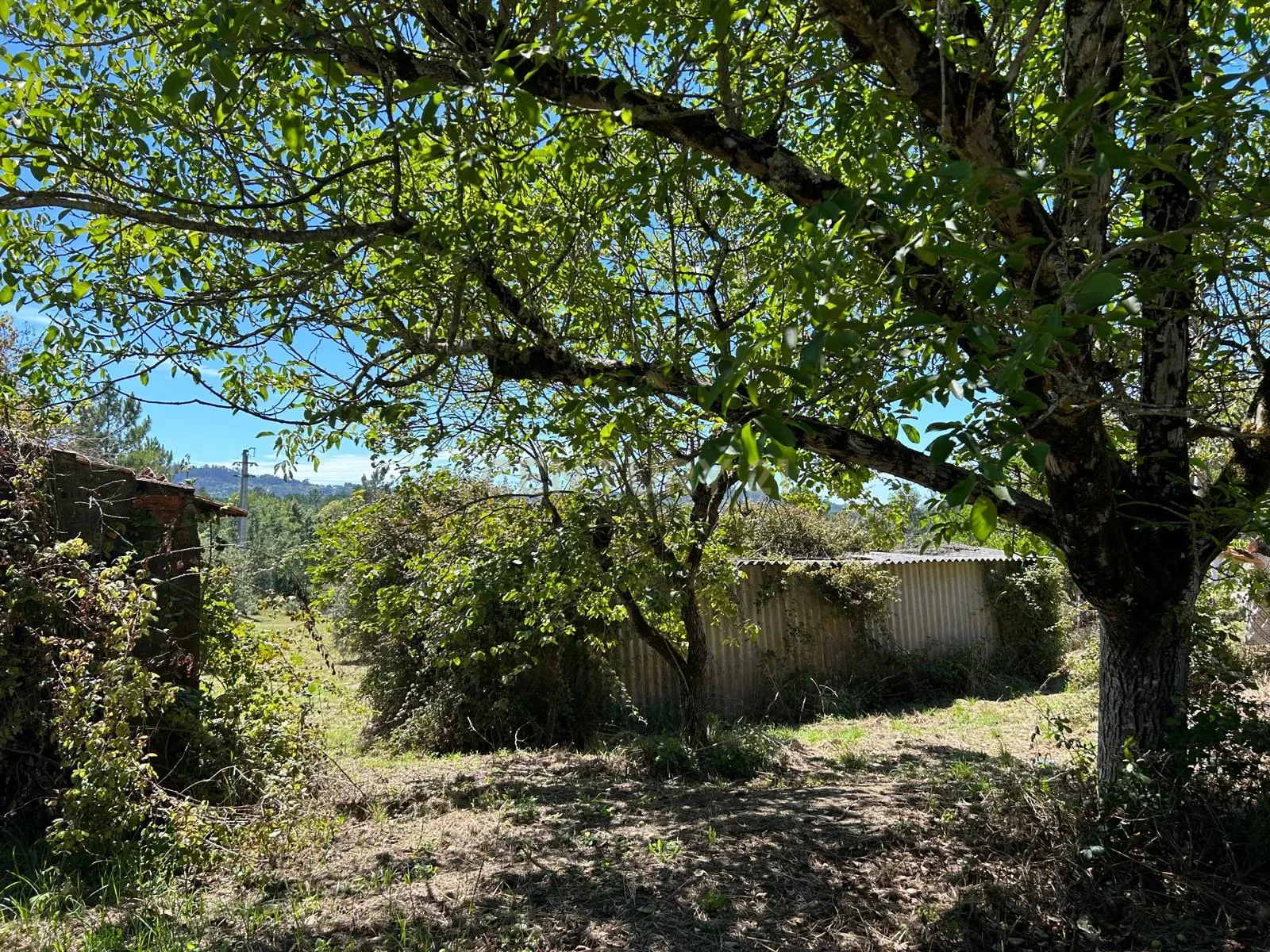 Terreno para construção em Santo Elói - Image 33