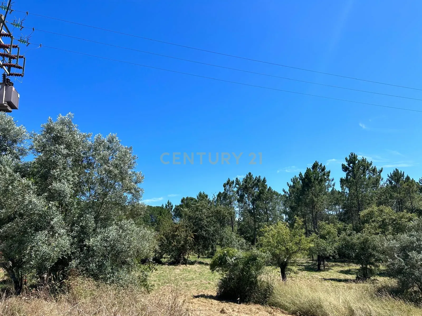 Terreno para construção em Santo Elói - Image 36