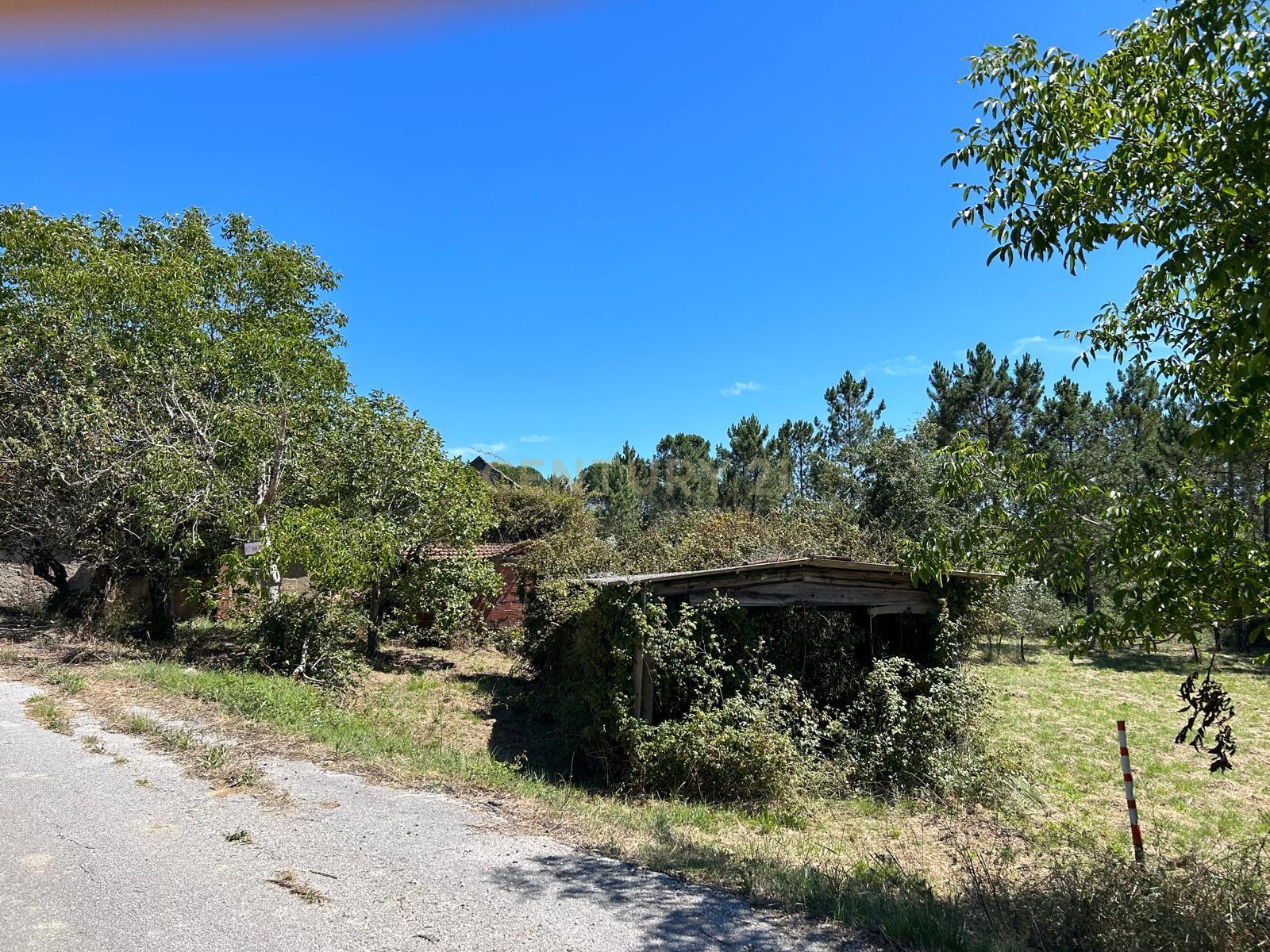 Terreno para construção em Santo Elói - Image 11