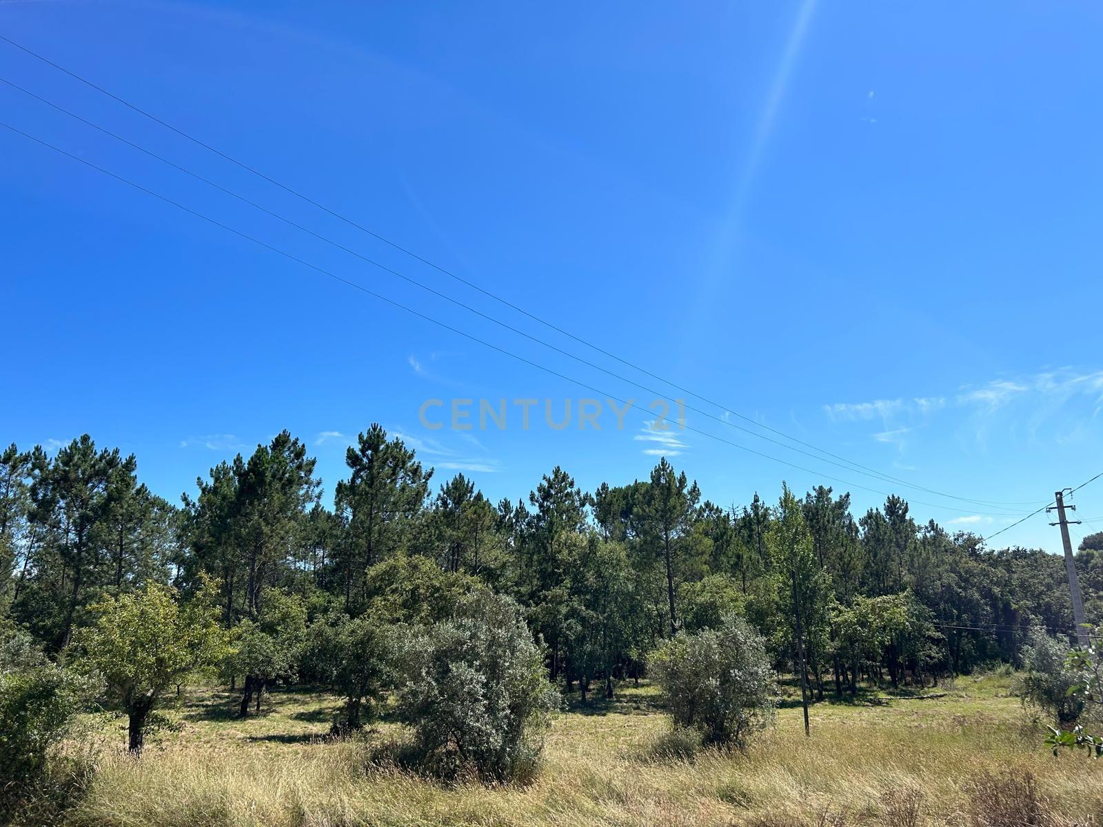 Terreno para construção em Santo Elói - Image 34
