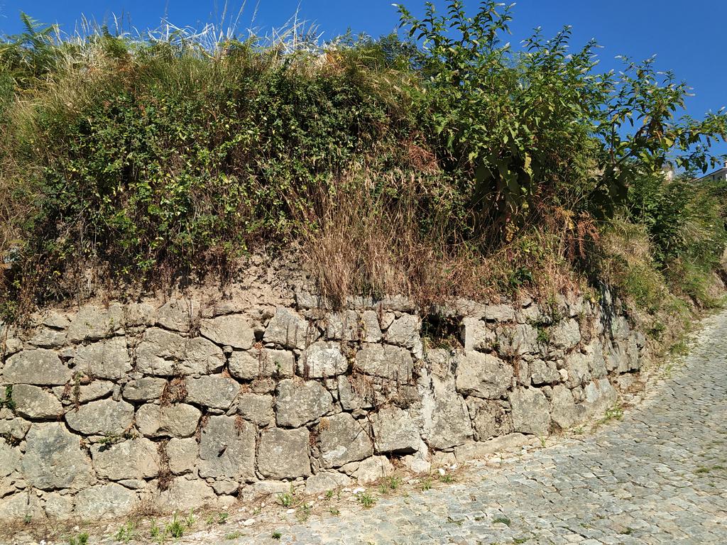 Quinta em Figueiró (Santiago), Amarante, à Vila da Lixa. - Image 22