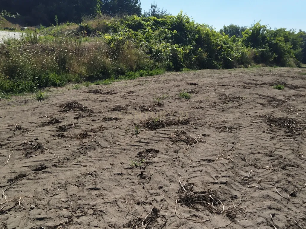 Terreno Agrícola em Figueiró (Santiago), Amarante, à Vila da Lixa - Image 10