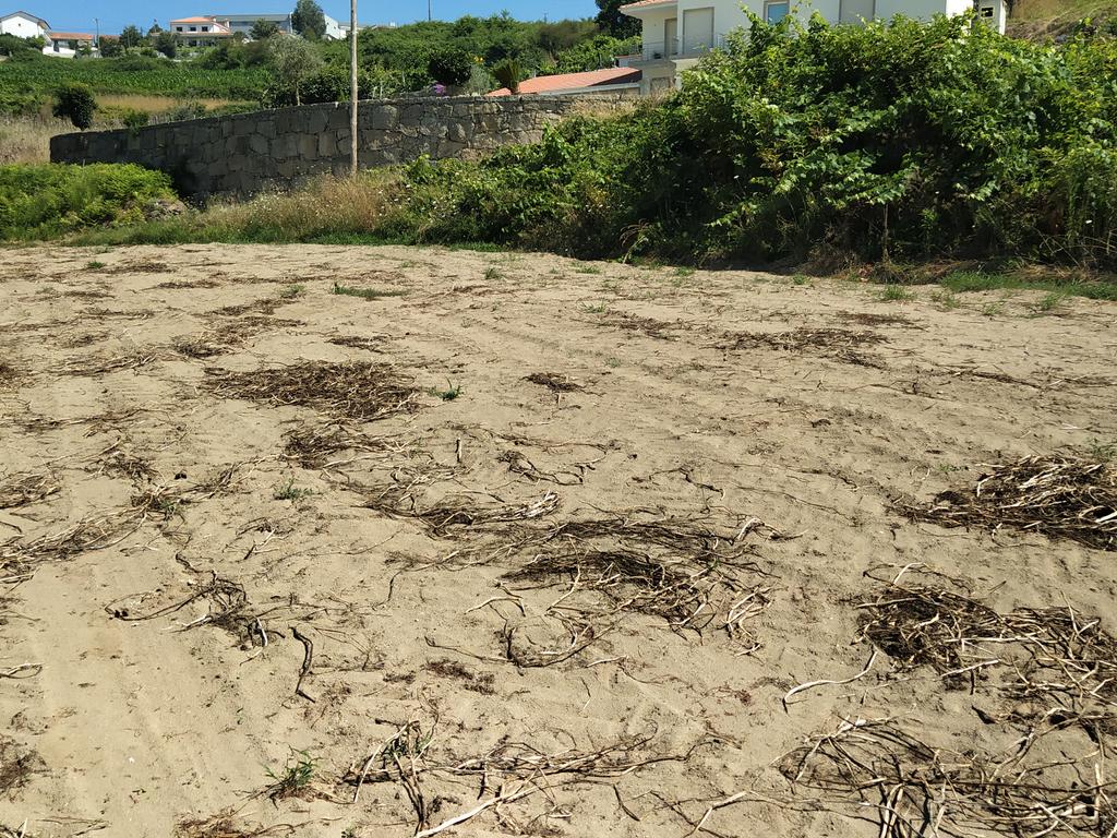 Terreno Agrícola em Figueiró (Santiago), Amarante, à Vila da Lixa - Image 7