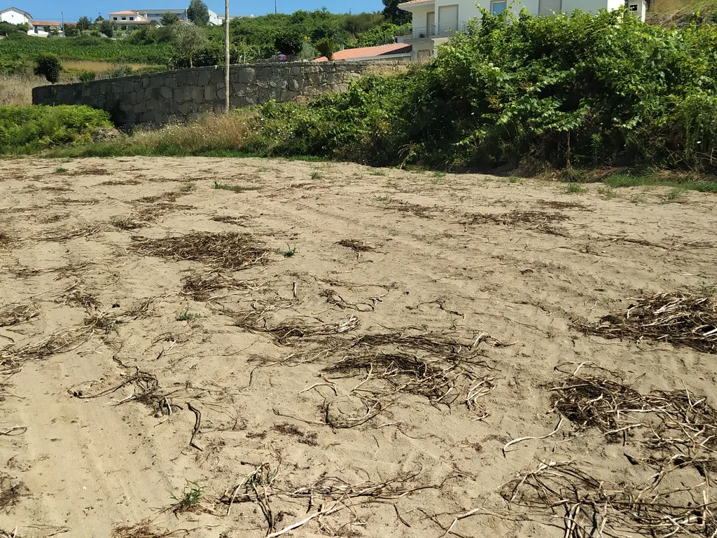 Terreno Agrícola em Figueiró (Santiago), Amarante, à Vila da Lixa - Image 7