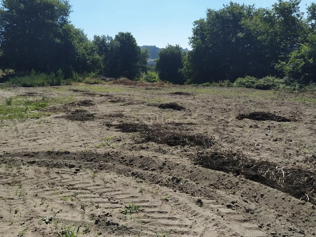 Terreno Agrícola em Figueiró (Santiago), Amarante, à Vila da Lixa - Image 14