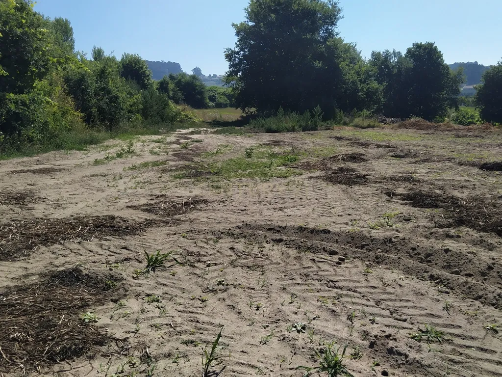 Terreno Agrícola em Figueiró (Santiago), Amarante, à Vila da Lixa - Image 3