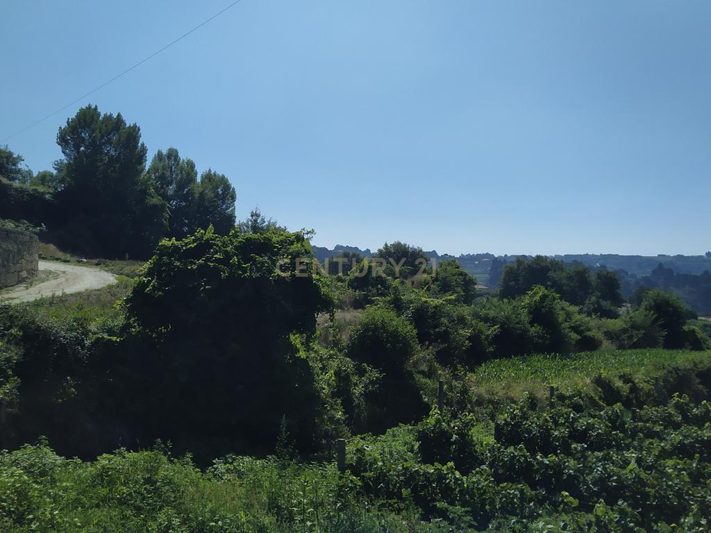 Terreno Agrícola em Figueiró (Santiago), Amarante, à Vila da Lixa - Image 1