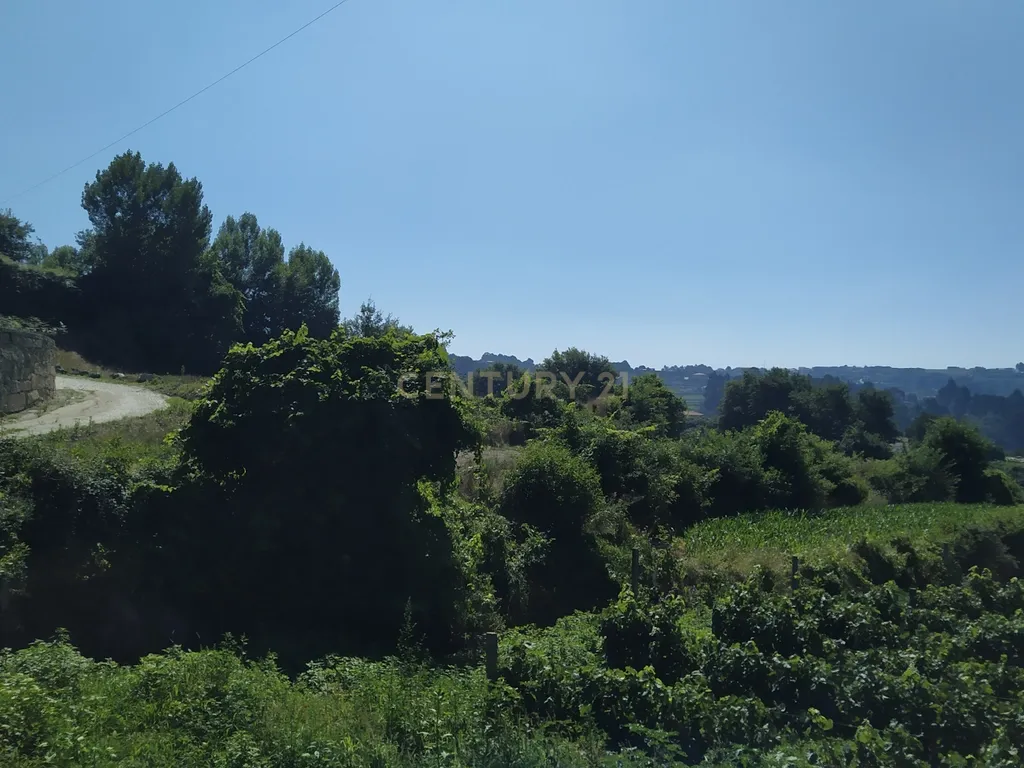 Terreno Agrícola em Figueiró (Santiago), Amarante, à Vila da Lixa - Image 1