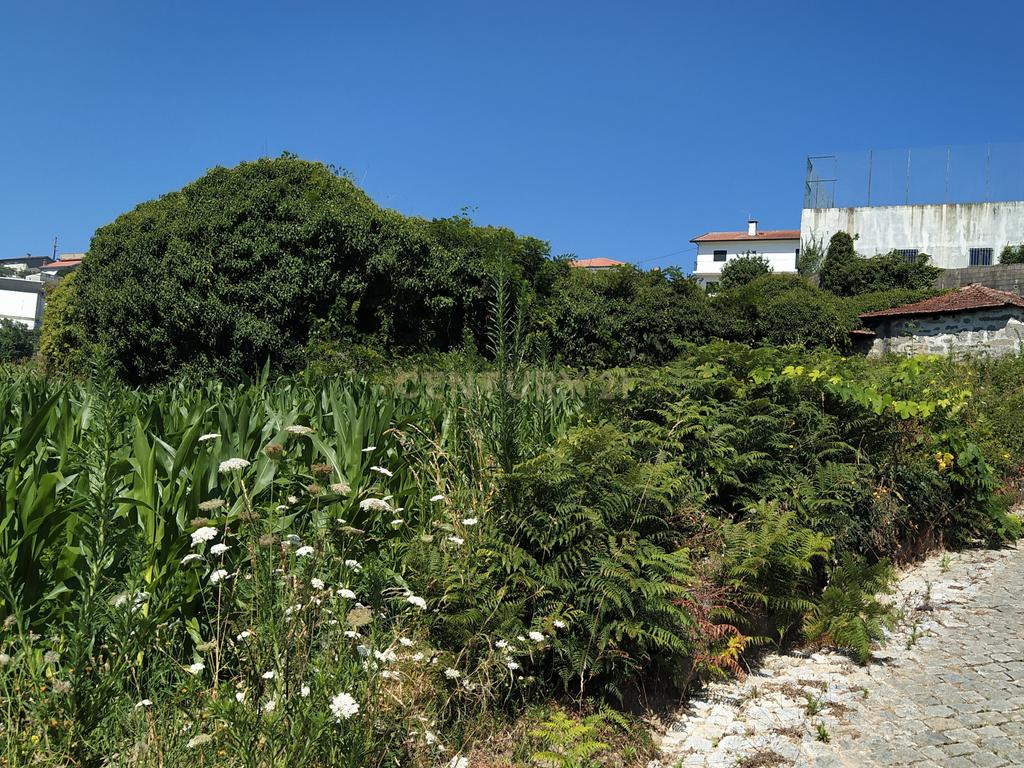 Quinta em Figueiró (Santiago), Amarante, à Vila da Lixa. - Image 2