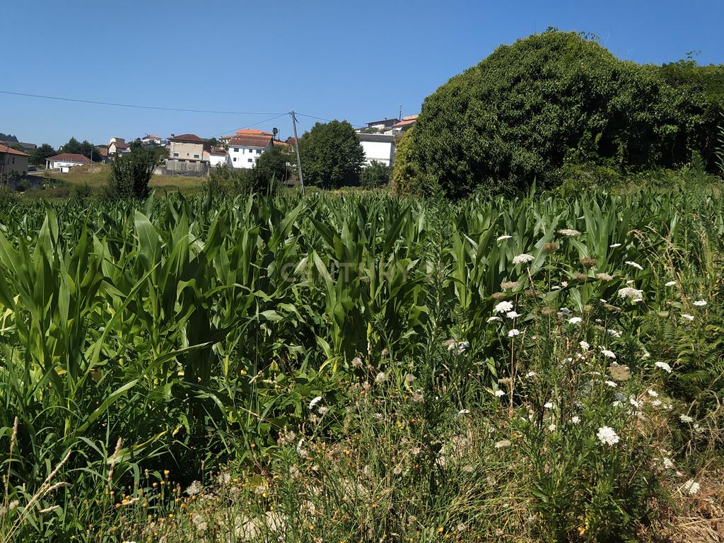 Quinta em Figueiró (Santiago), Amarante, à Vila da Lixa. - Image 18