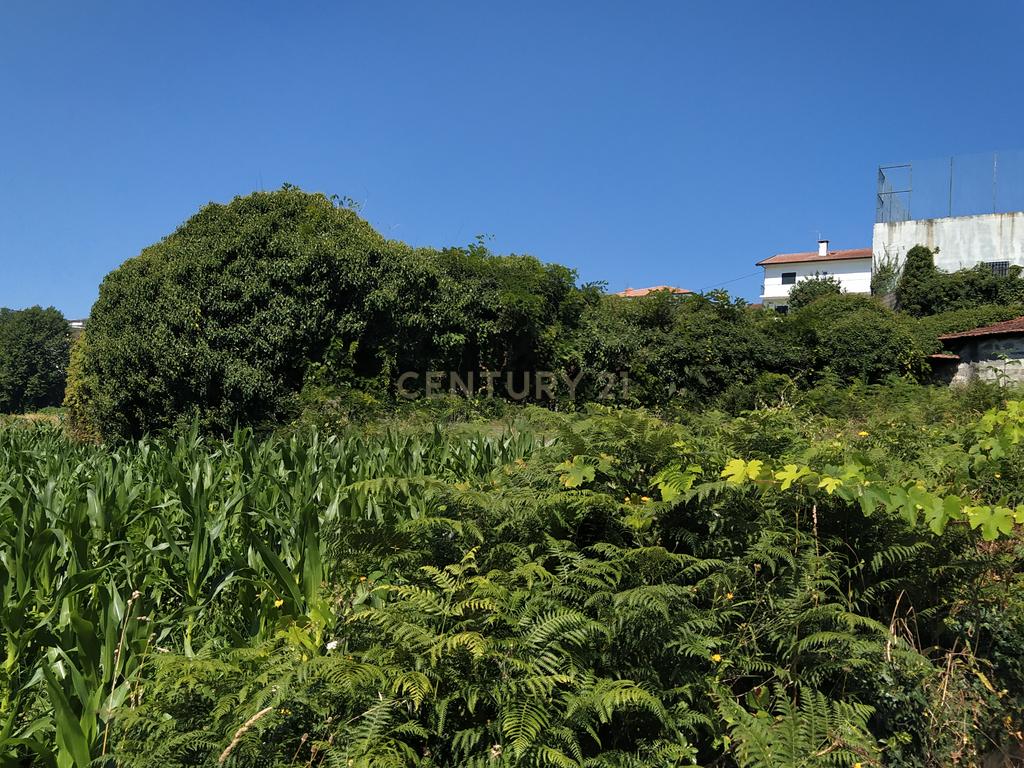 Quinta em Figueiró (Santiago), Amarante, à Vila da Lixa. - Image 3