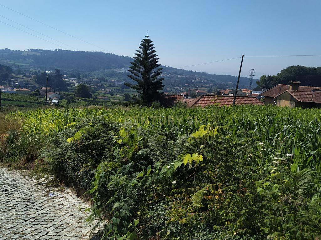 Quinta em Figueiró (Santiago), Amarante, à Vila da Lixa. - Image 17