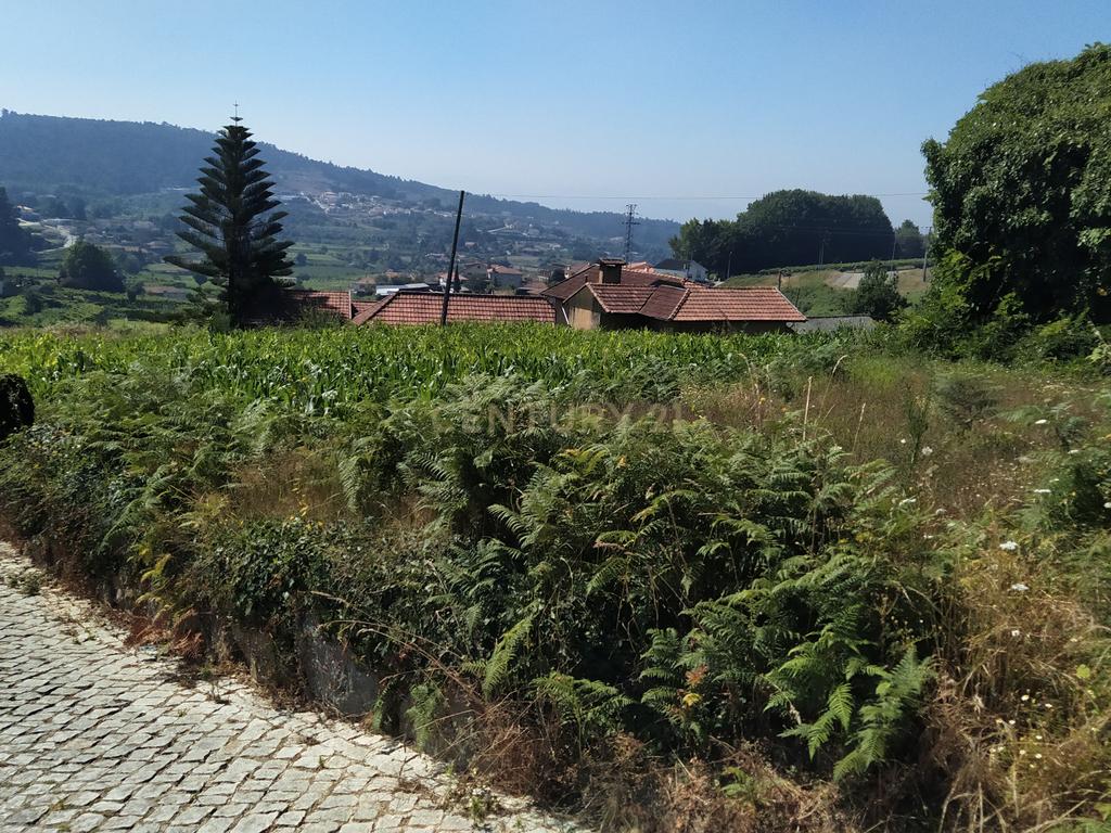 Quinta em Figueiró (Santiago), Amarante, à Vila da Lixa. - Image 19