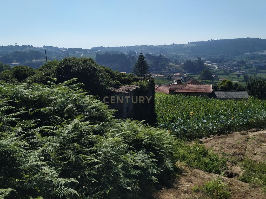 Quinta em Figueiró (Santiago), Amarante, à Vila da Lixa. - Image 10