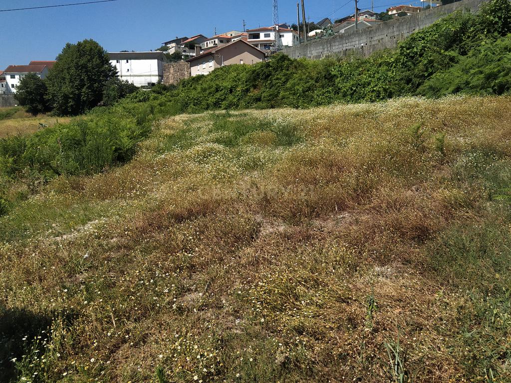 Quinta em Figueiró (Santiago), Amarante, à Vila da Lixa. - Image 36