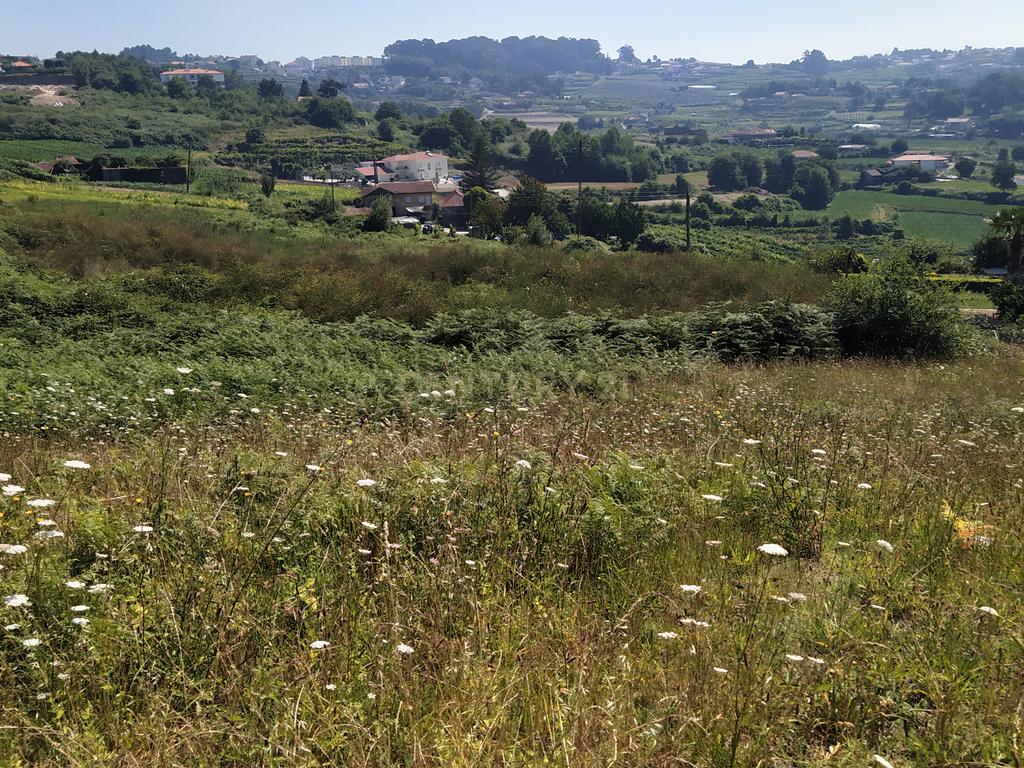 Quinta em Figueiró (Santiago), Amarante, à Vila da Lixa. - Image 28