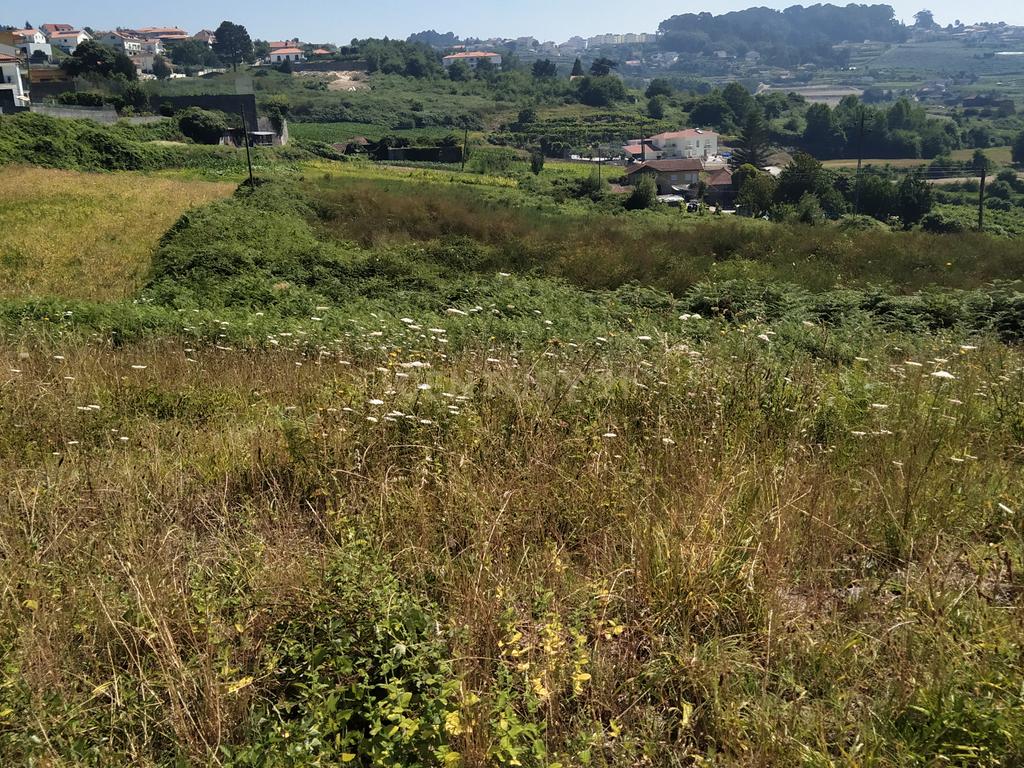 Quinta em Figueiró (Santiago), Amarante, à Vila da Lixa. - Image 32