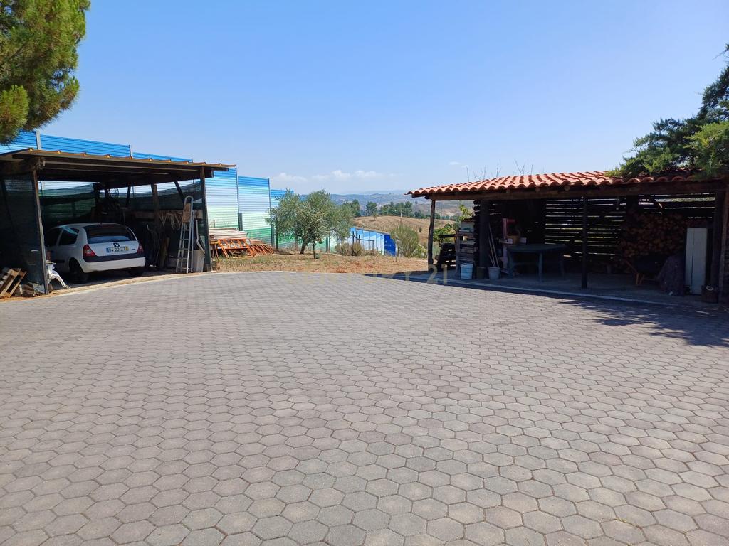 Quinta nas proximidades da Maravilha - Image 14