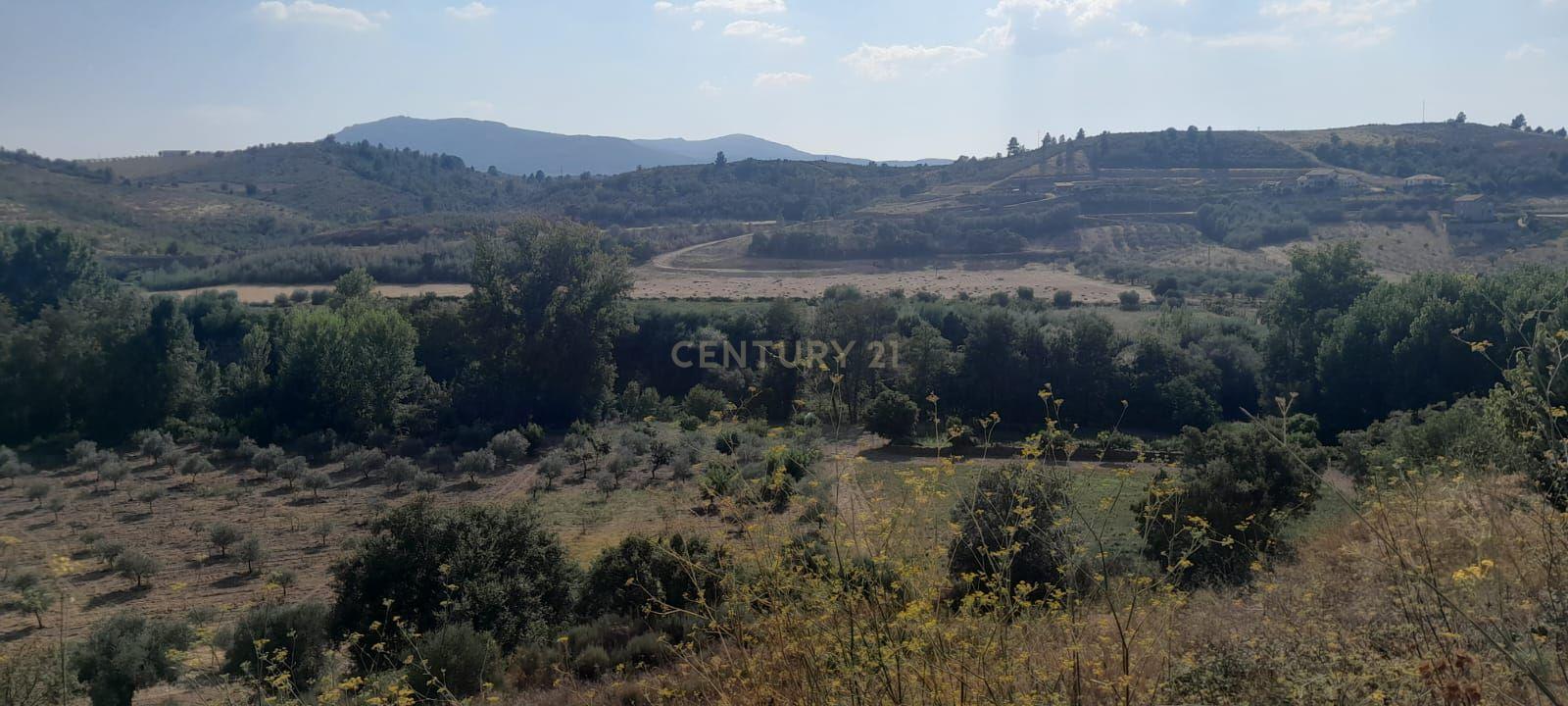 Land for sale in Mirandela, Portugal — €65,000