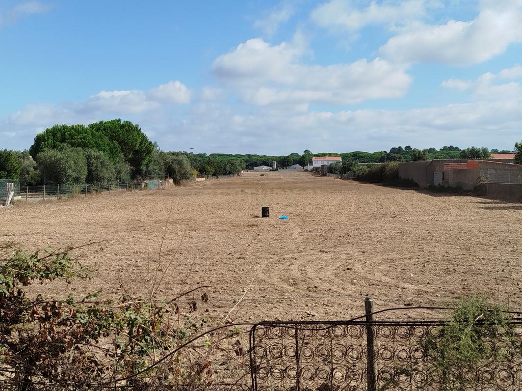 Terreno Em Santo Estevão ( Benavente ) com área de 16. 338 M2 para a construção de Moradias . - Image 3