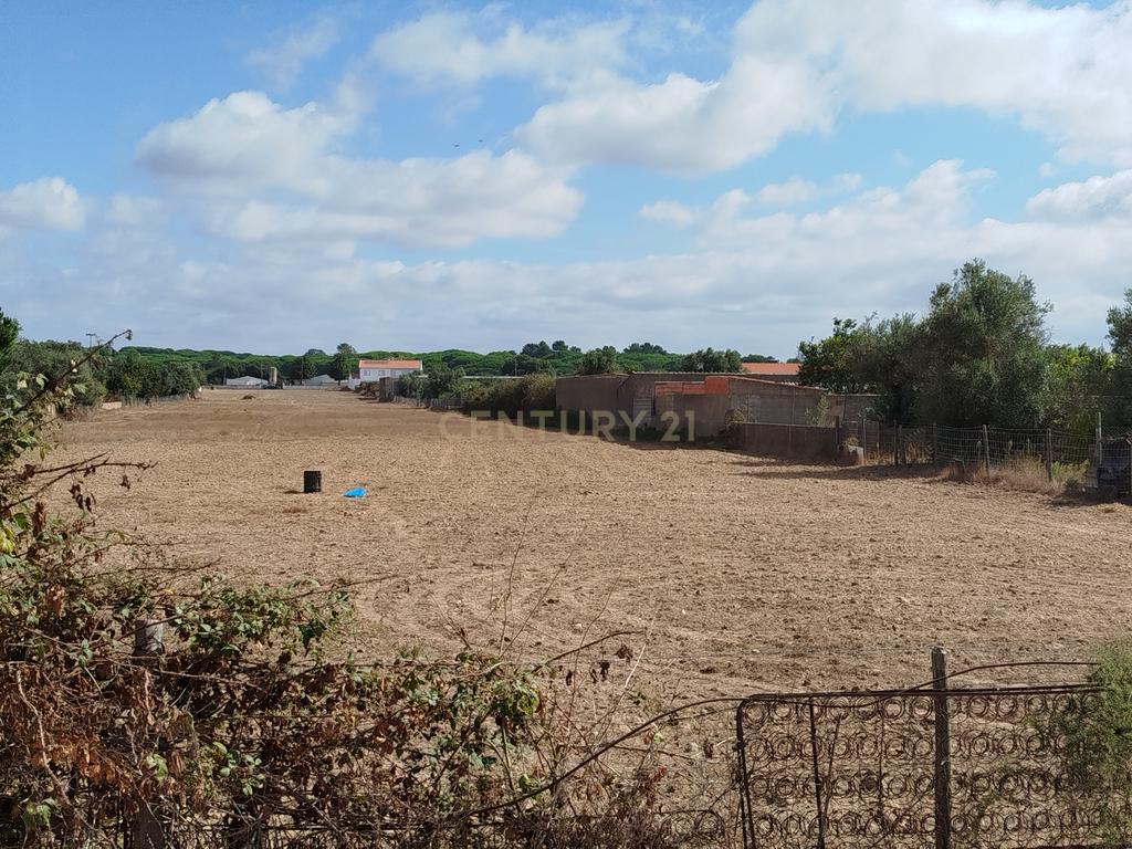 Terreno Em Santo Estevão ( Benavente ) com área de 16. 338 M2 para a construção de Moradias . - Image 2