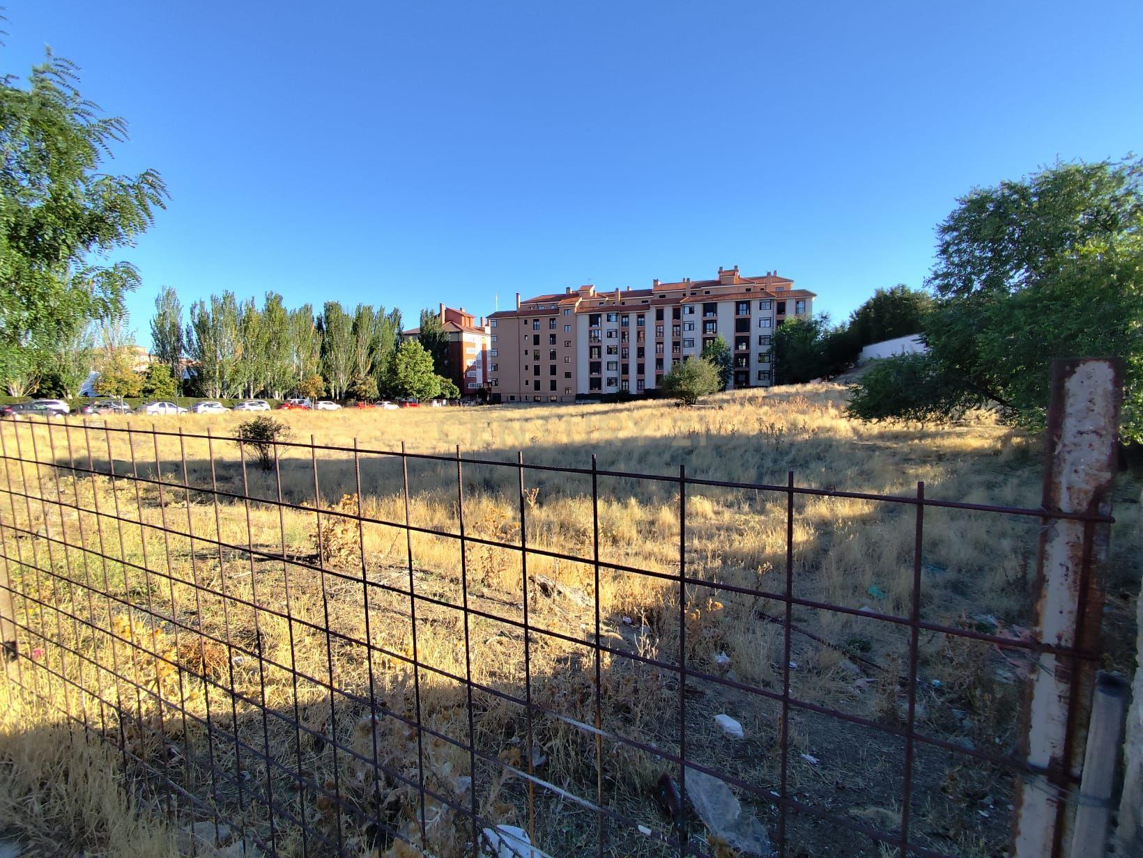 undefined - Image 8