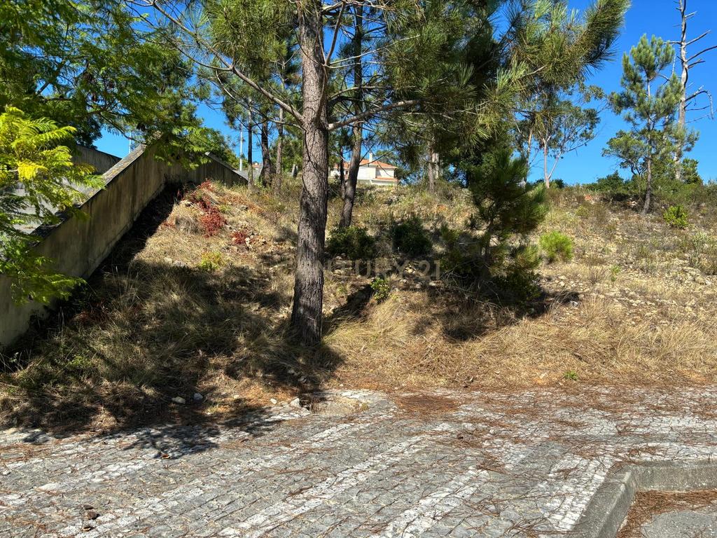 Lote de terreno para construção em Pombal - Image 2