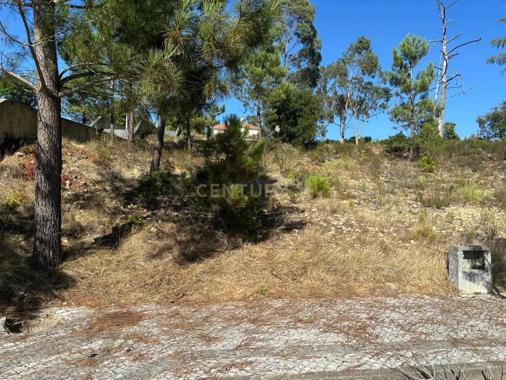 Lote de terreno para construção em Pombal - Image 5