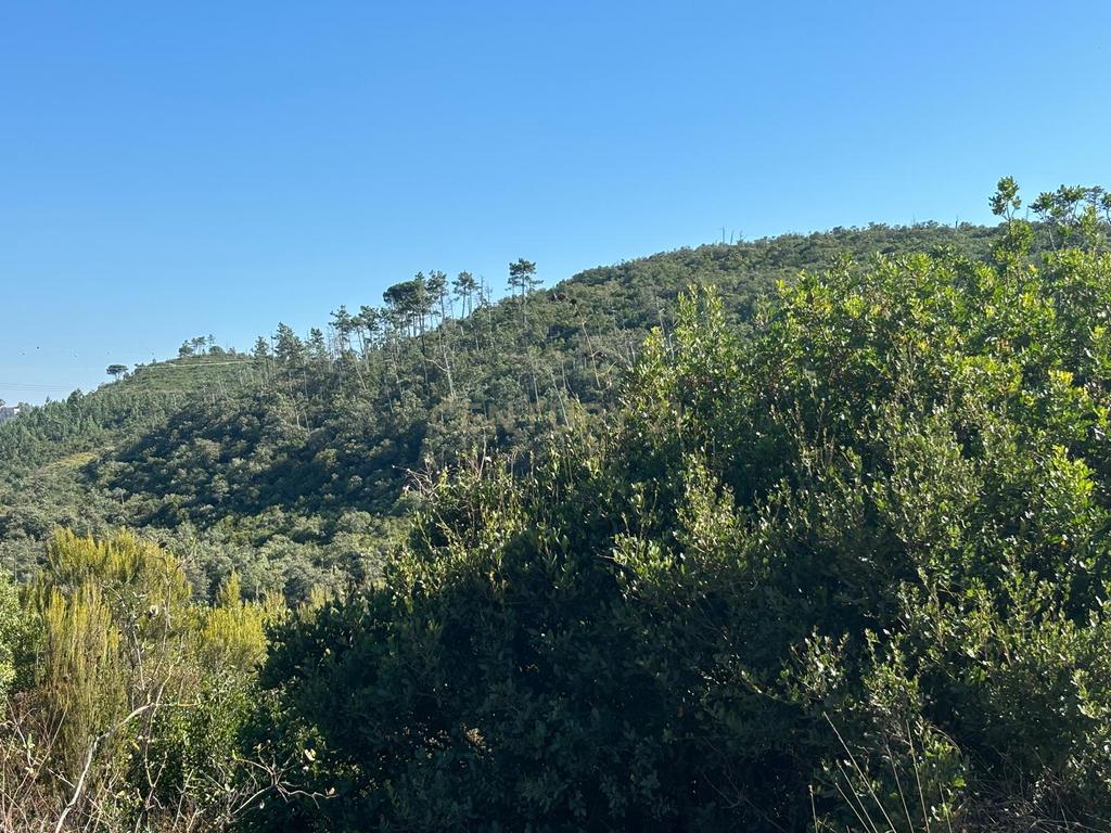 Lote de terreno para construção em Pombal - Image 11