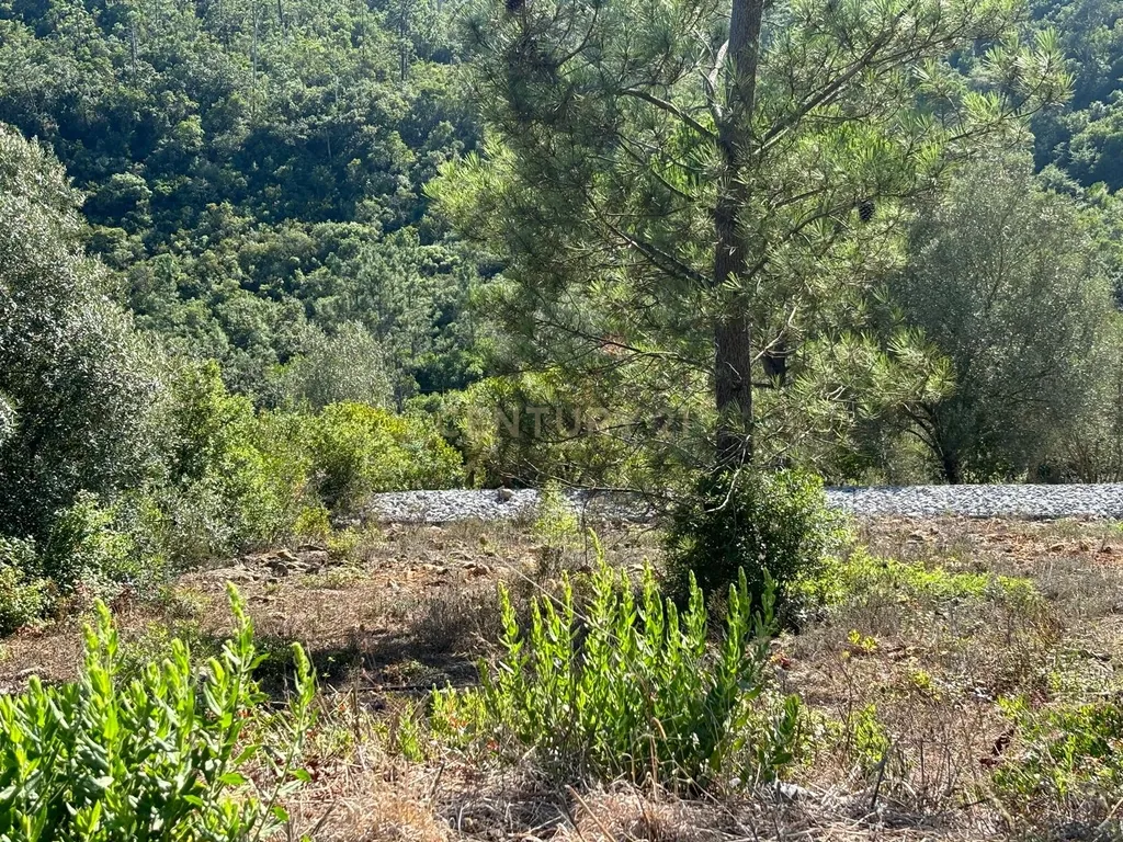 Lote de terreno para construção em Pombal - Image 7
