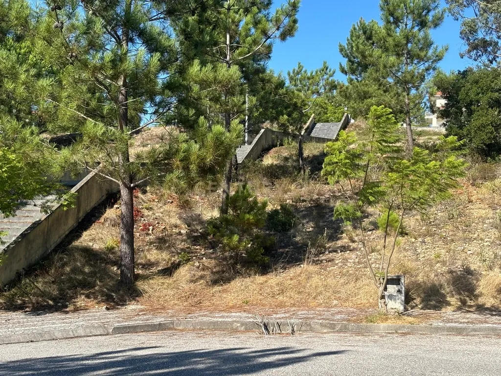 Lote de terreno para construção em Pombal - Image 6