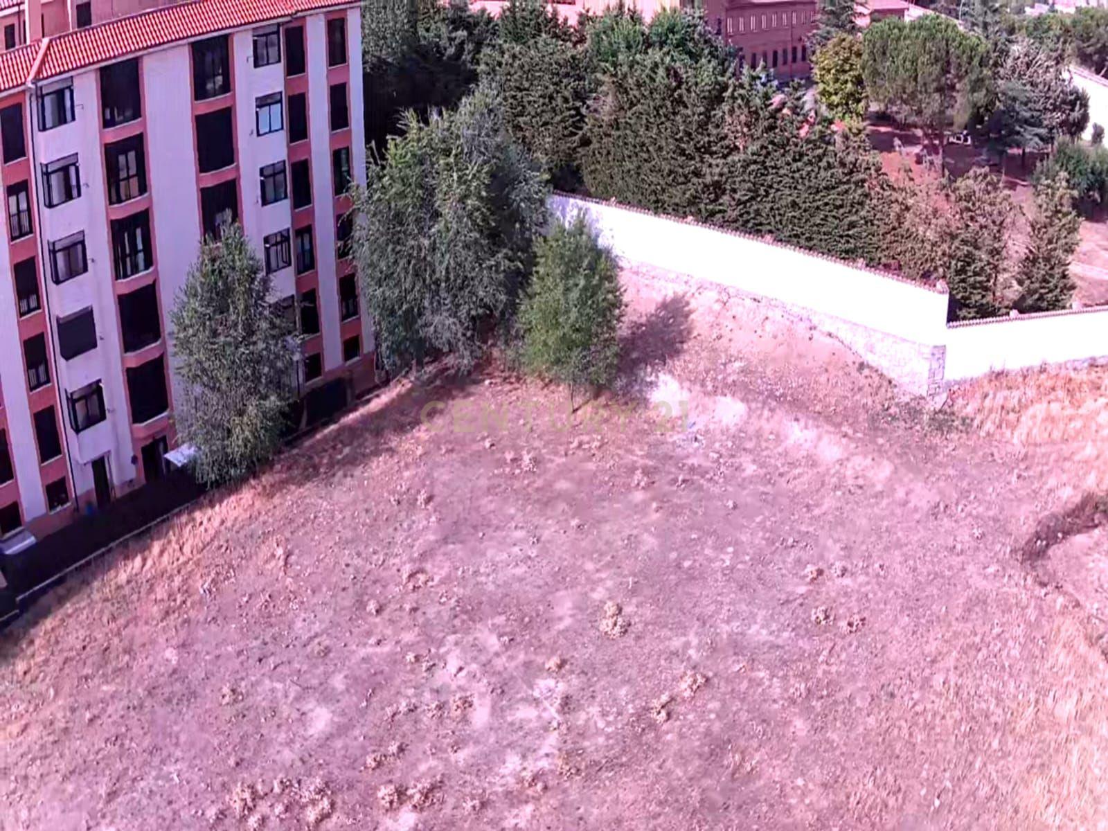 undefined - Image 11