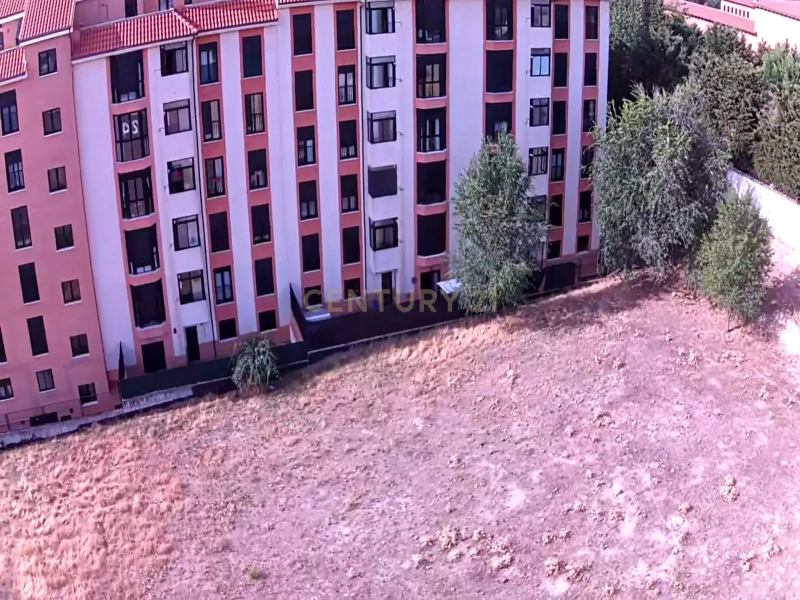 undefined - Image 12