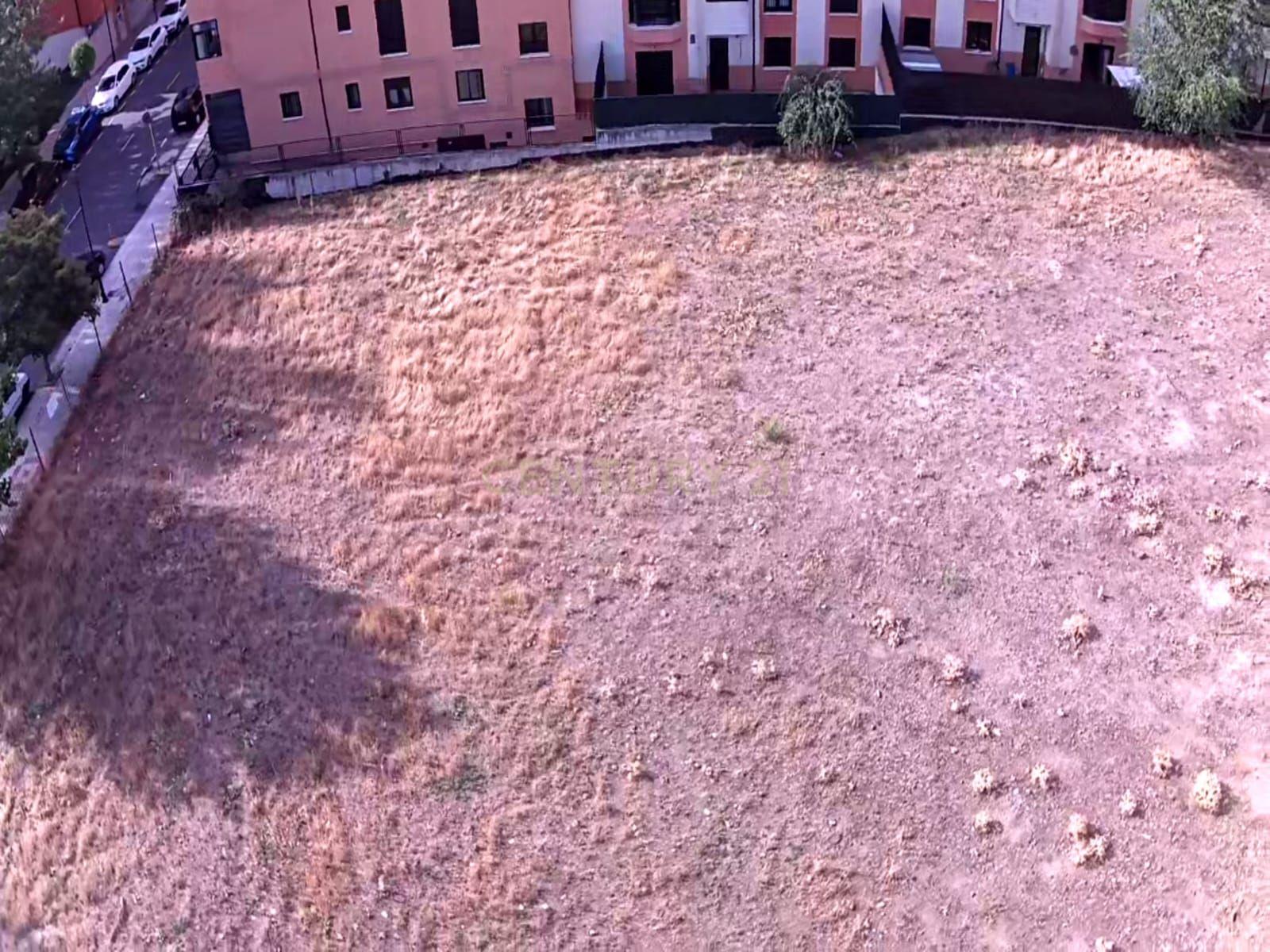 undefined - Image 13