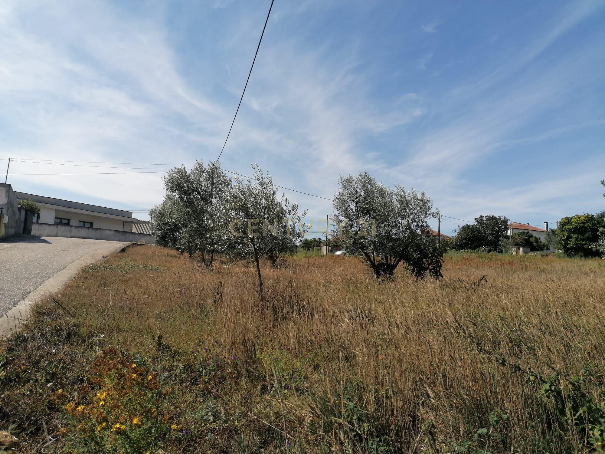 TERRENO COM 3190 M2 (TEM FURO PRÓPRIO COM MUITA ÁGUA) - Image 15