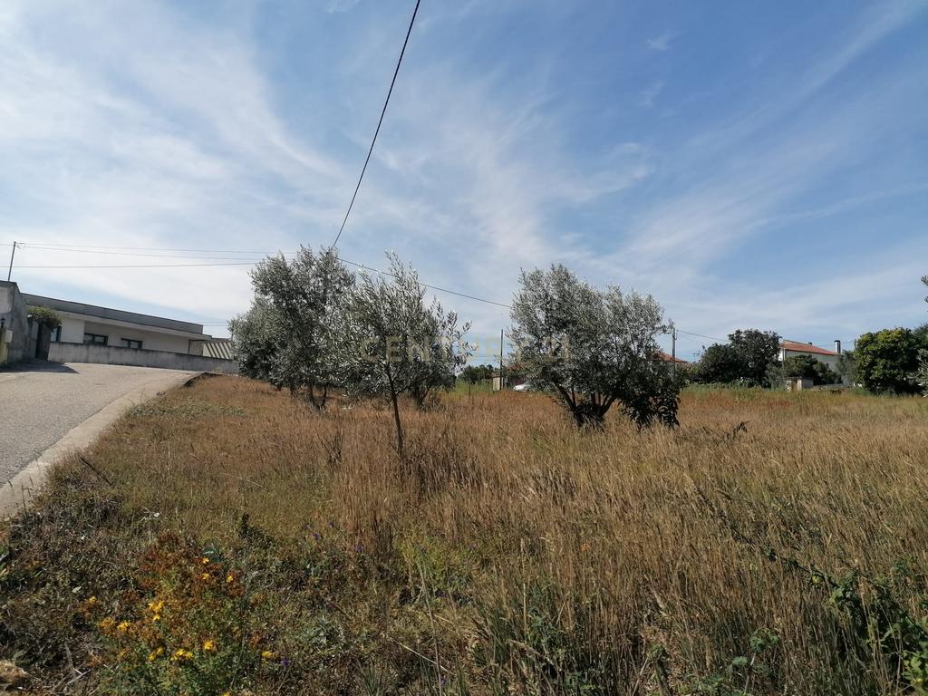 TERRENO COM 3190 M2 (TEM FURO PRÓPRIO COM MUITA ÁGUA) - Image 15