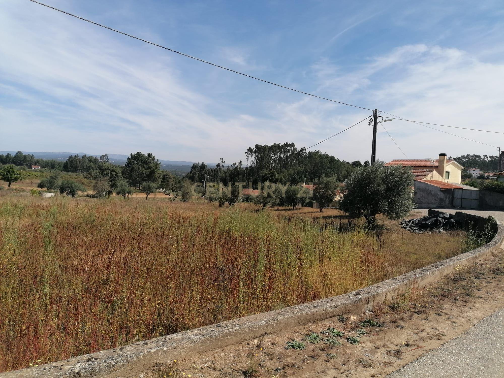 TERRENO COM 3190 M2 (TEM FURO PRÓPRIO COM MUITA ÁGUA) - Image 12