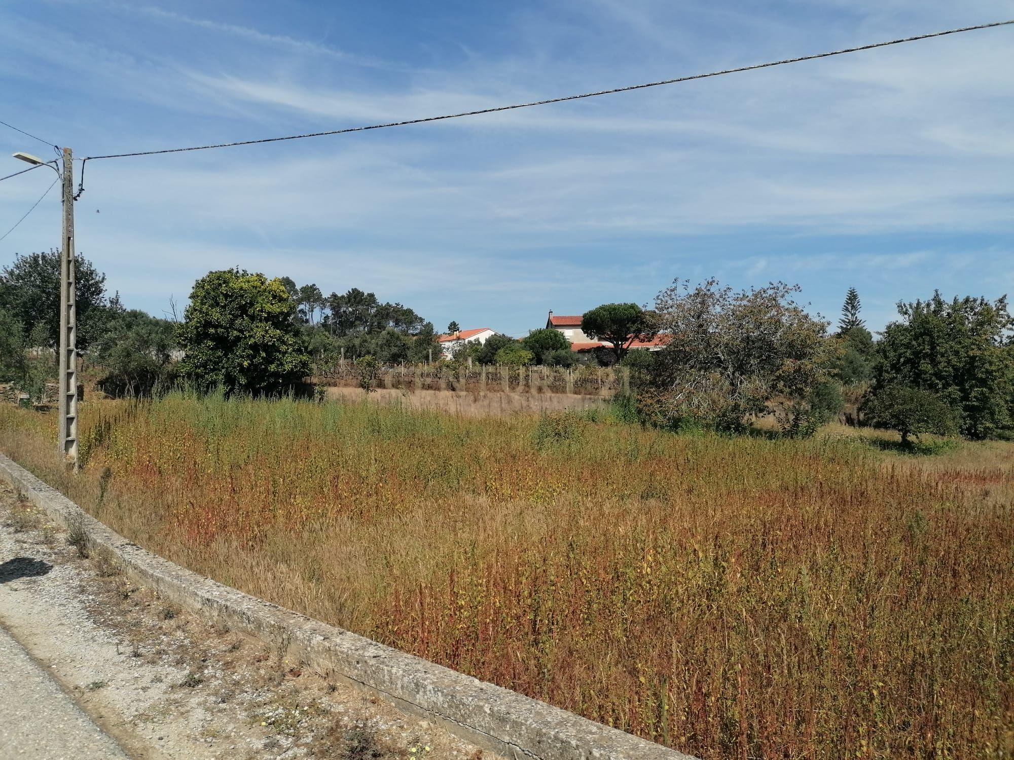 TERRENO COM 3190 M2 (TEM FURO PRÓPRIO COM MUITA ÁGUA) - Image 14