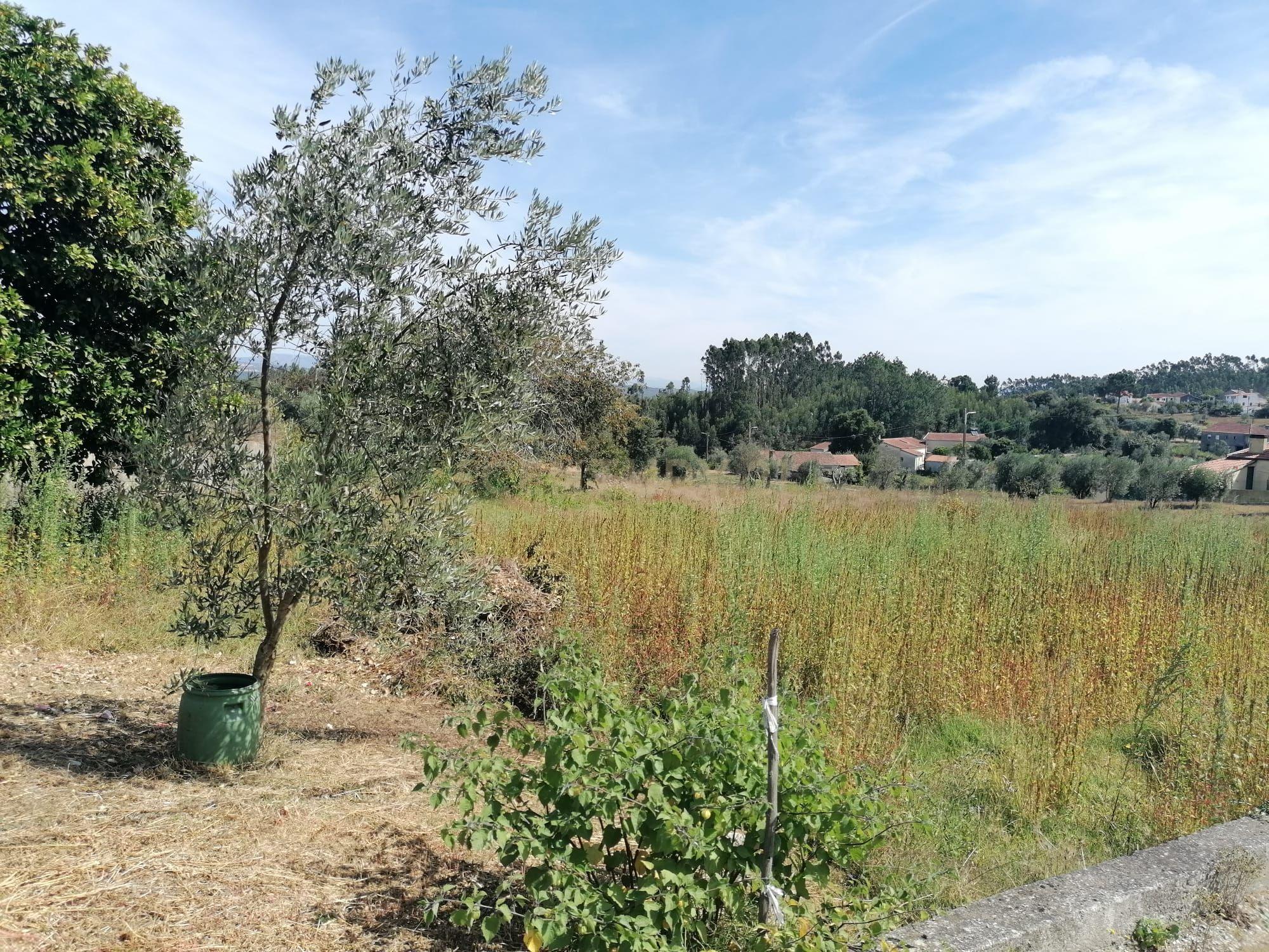 TERRENO COM 3190 M2 (TEM FURO PRÓPRIO COM MUITA ÁGUA) - Image 13