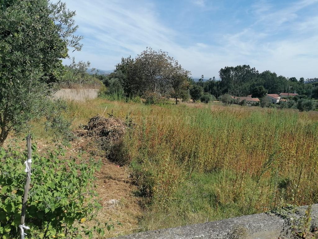 TERRENO COM 3190 M2 (TEM FURO PRÓPRIO COM MUITA ÁGUA) - Image 5