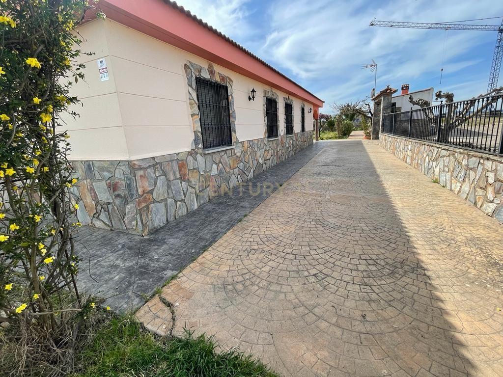 undefined - Image 3