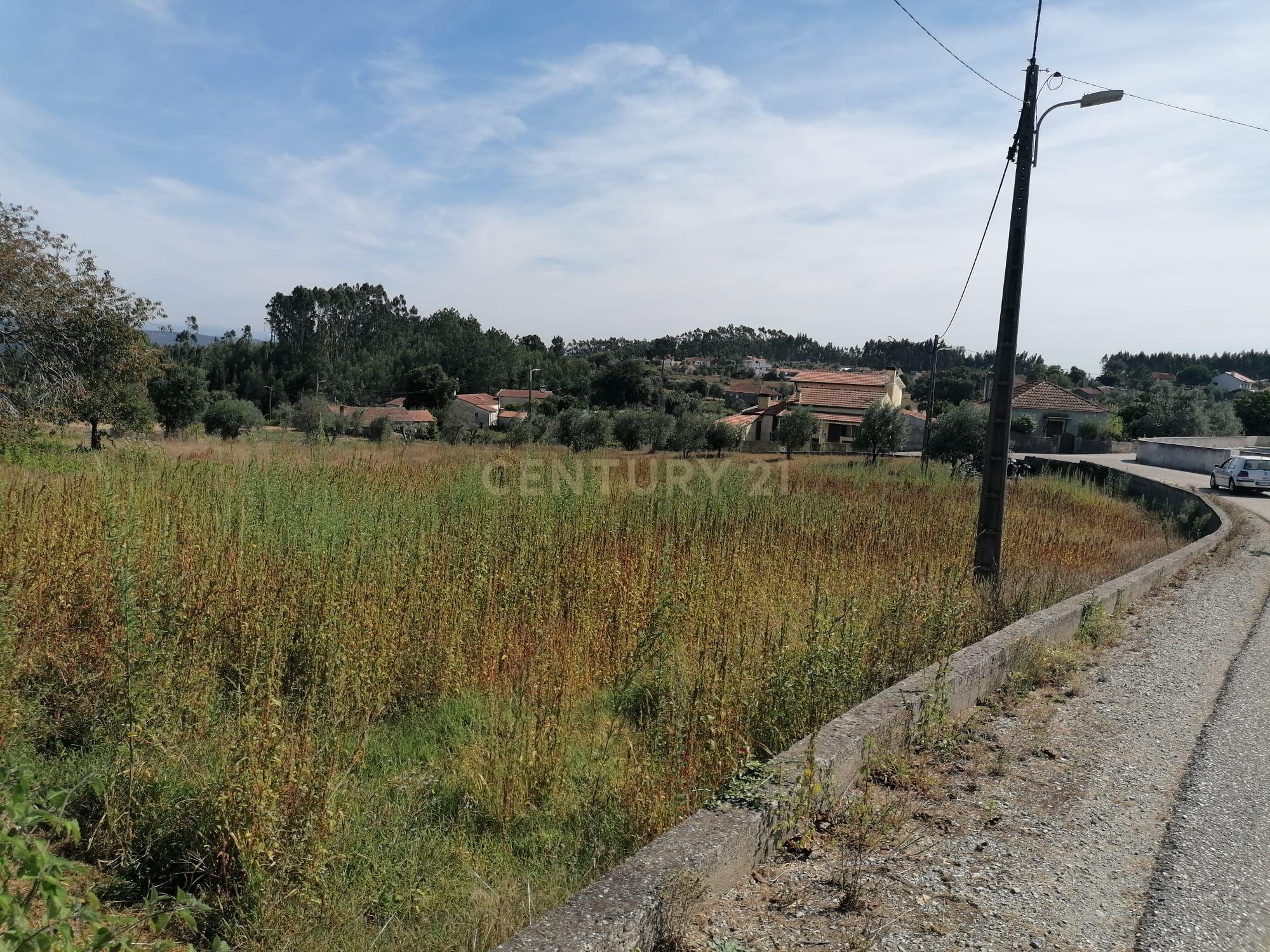TERRENO COM 3190 M2 (TEM FURO PRÓPRIO COM MUITA ÁGUA) - Image 3