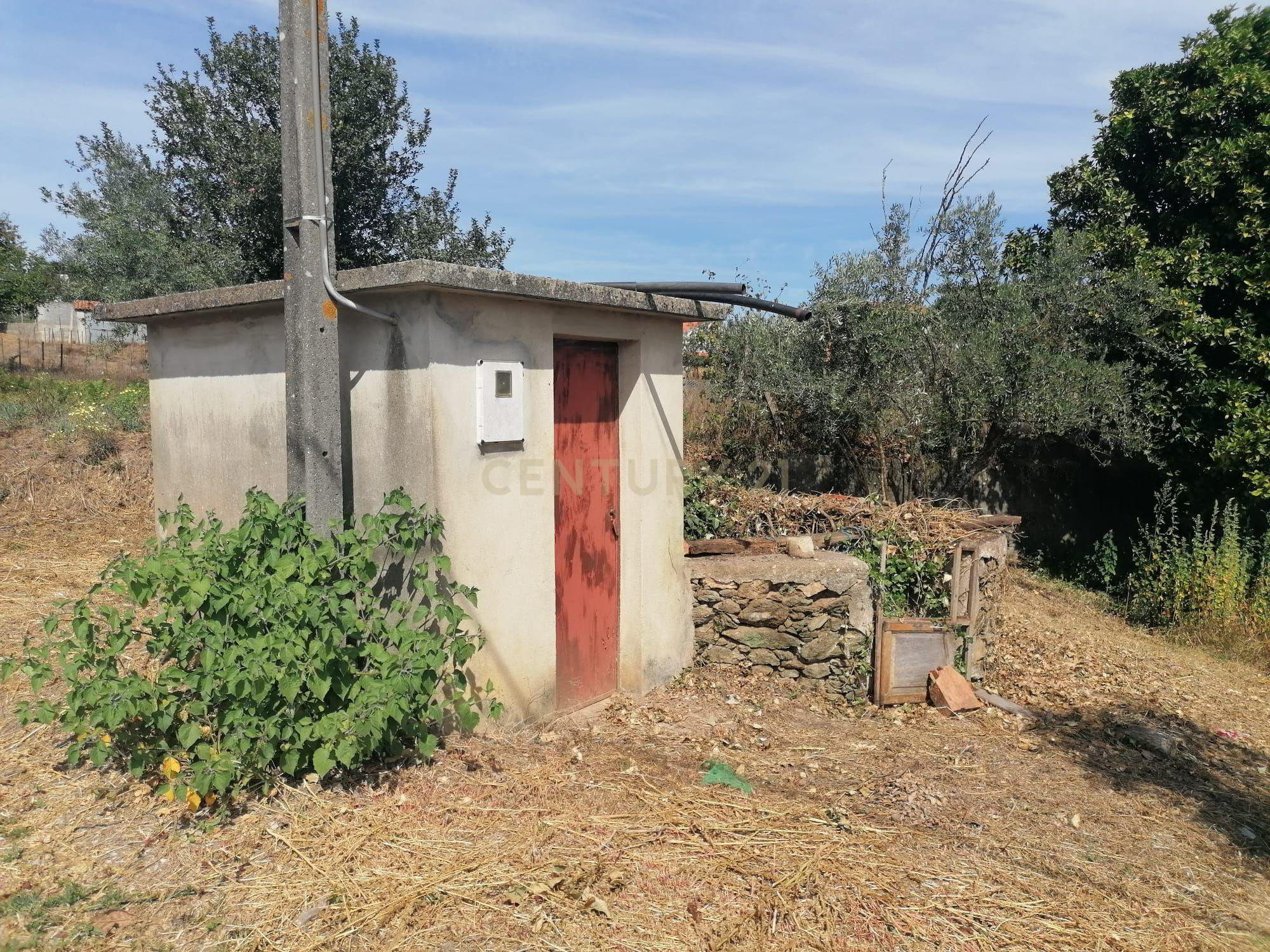 TERRENO COM 3190 M2 (TEM FURO PRÓPRIO COM MUITA ÁGUA) - Image 6